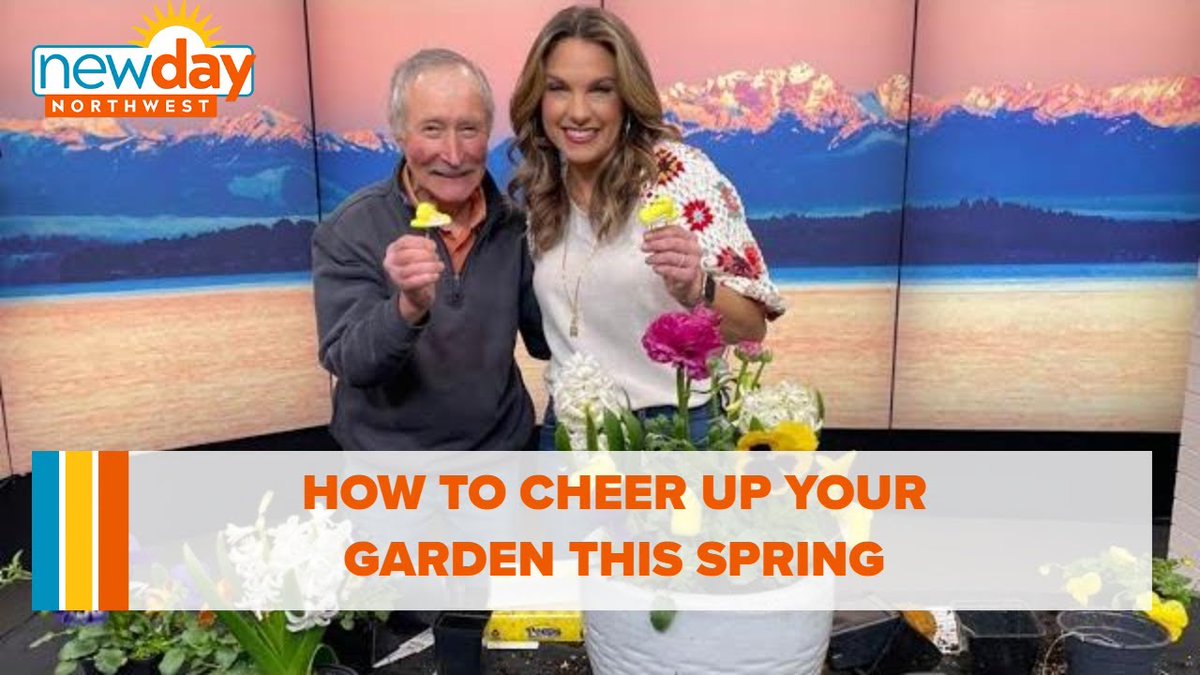 AllForGardening's tweet image. Pot an early spring container to cheer up ...
 
#Ciscoe #ContainerGarden #ContainerGardening #Entertainment
 
allforgardening.com/430022/pot-an-…