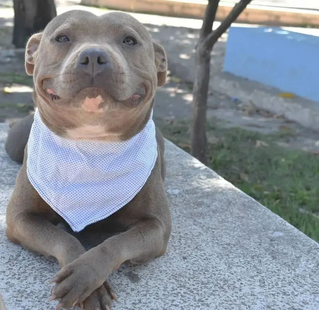 Esa cara de felicidad me enamora!!