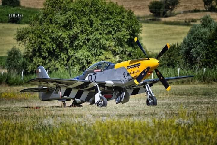 SHG_Airshow's tweet image. #ferociousfrankie #p51mustang