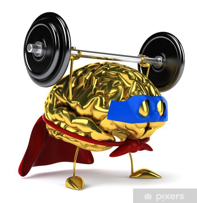 SweaterGirl's tweet photo. @ruben_degollado Can mine be Cerebro de Oro? https://t.co/Wz7ZGhsLsa