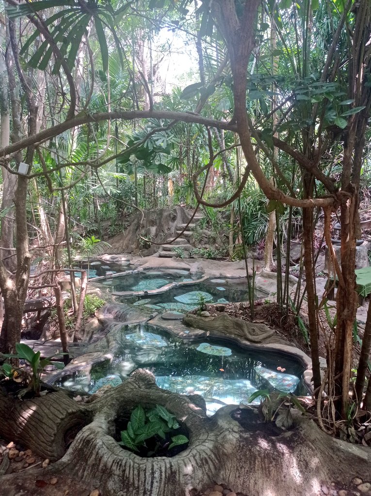 Trip to the hot springs in Krabi 🇹🇭