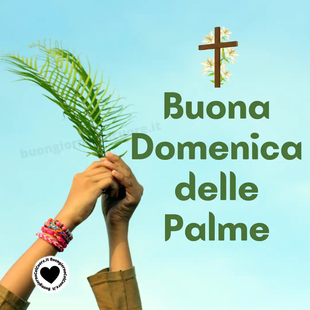 Buona Domenica delle Palme 🌿🕊️

#DomenicadellePalme #domenica #domenicamattina #palme #speranza #pace #buonadomenicadellepalme #PalmSunday #2aprile #immagini