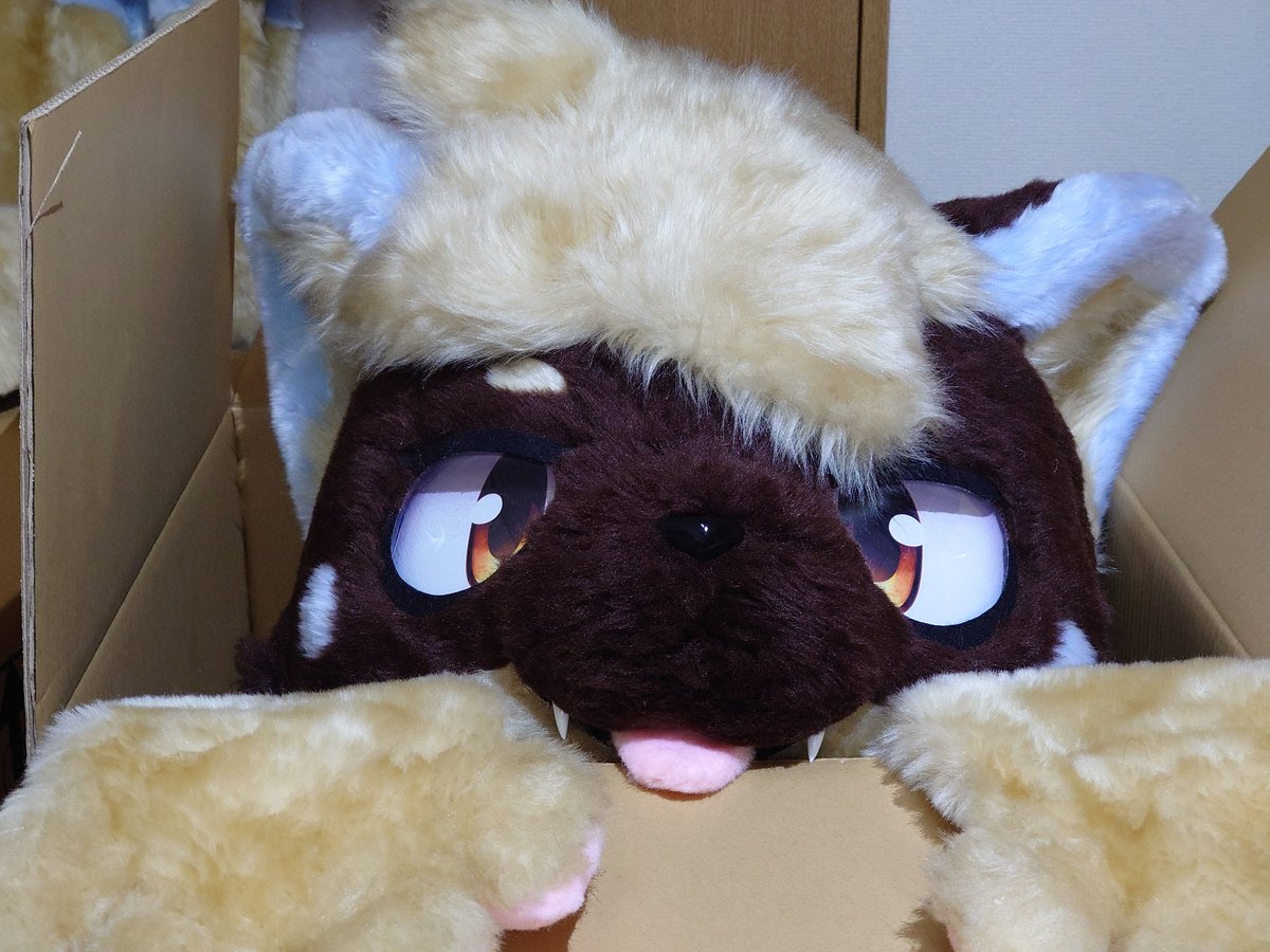 とらきち tweet media