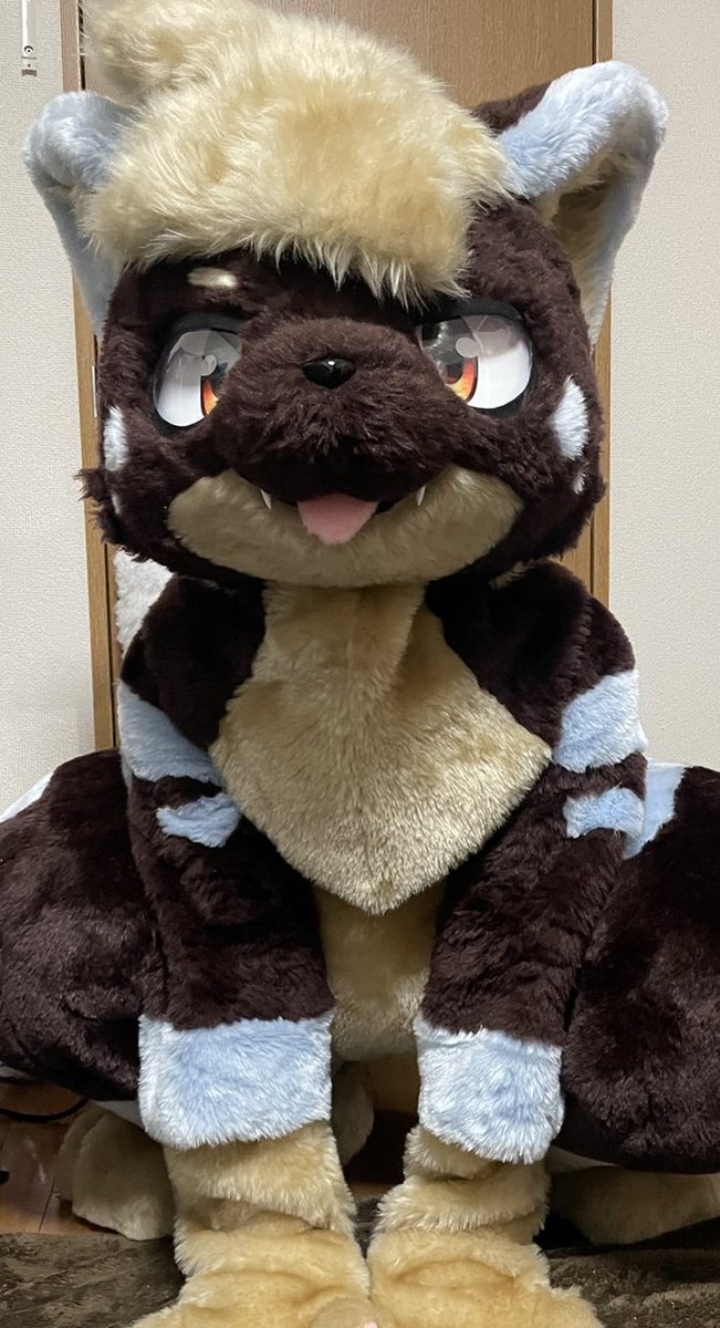 とらきち tweet media