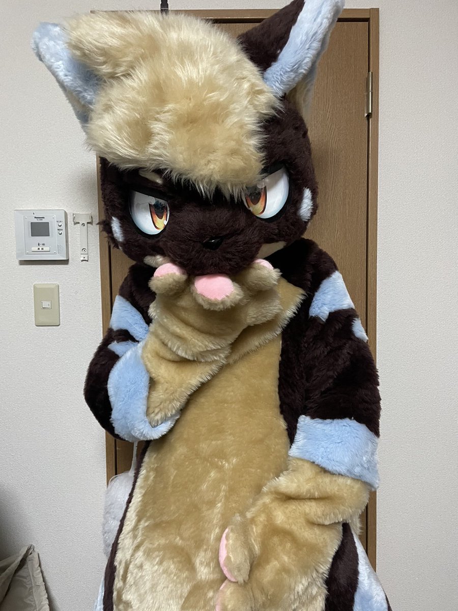 とらきち tweet media