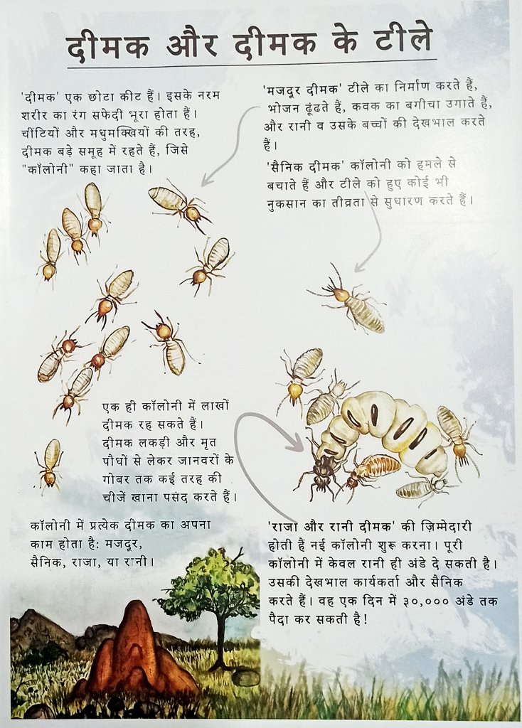 DfoJamtara's tweet photo. चलो देखें दीमक का टीला!
#ecology #foodchain #प्रकृति_का_पिटारा
#termite #termitemound
@ajinkyabankar @JharkhandVan https://t.co/HfVf5kvM2B
