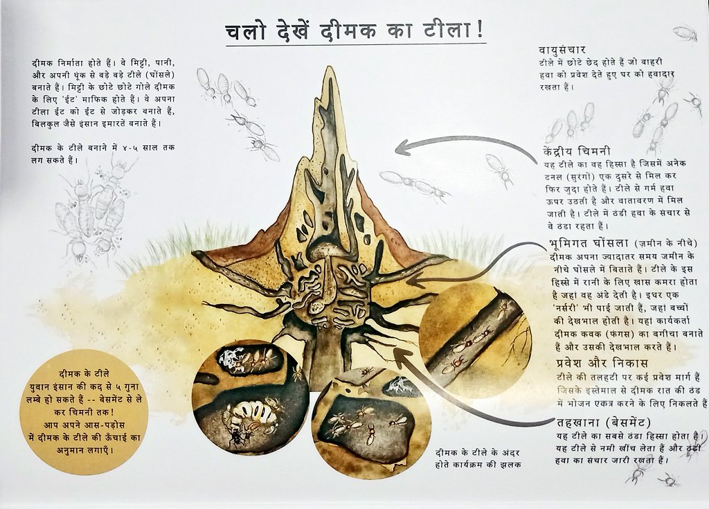 DfoJamtara's tweet photo. चलो देखें दीमक का टीला!
#ecology #foodchain #प्रकृति_का_पिटारा
#termite #termitemound
@ajinkyabankar @JharkhandVan https://t.co/HfVf5kvM2B