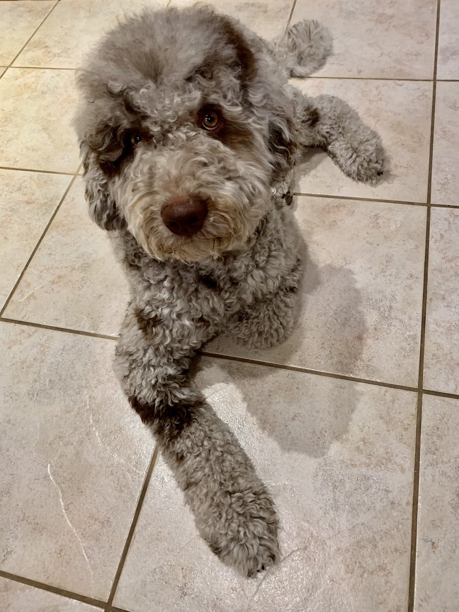 Marc Brooks tweet media