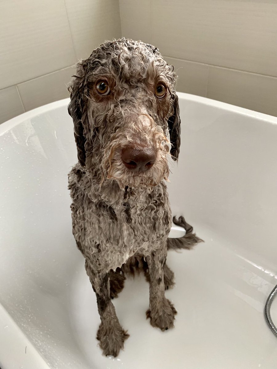 Marc Brooks tweet media