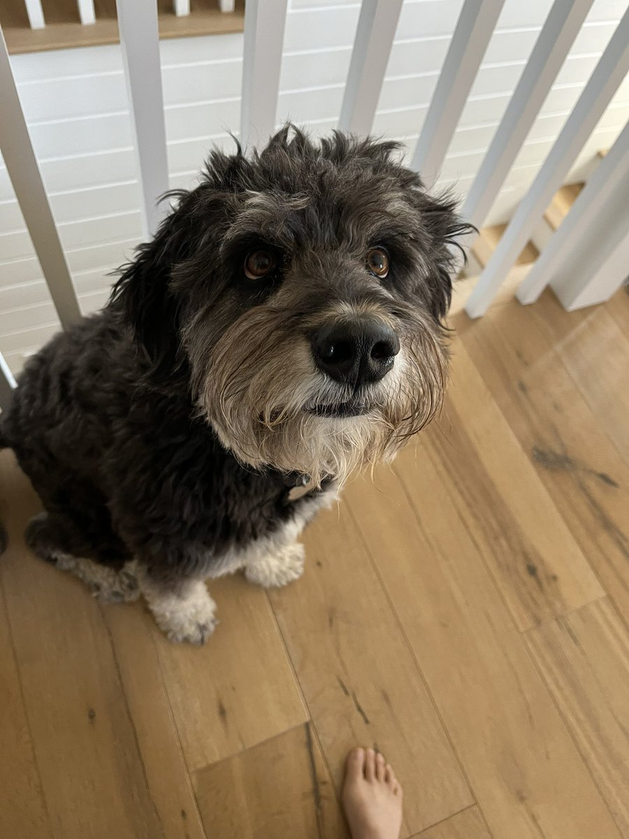 AmySueyoshi's tweet photo. Thanks to Calypso for sharing her home with me on my visit to LA! https://t.co/8KAYLwO5Xw