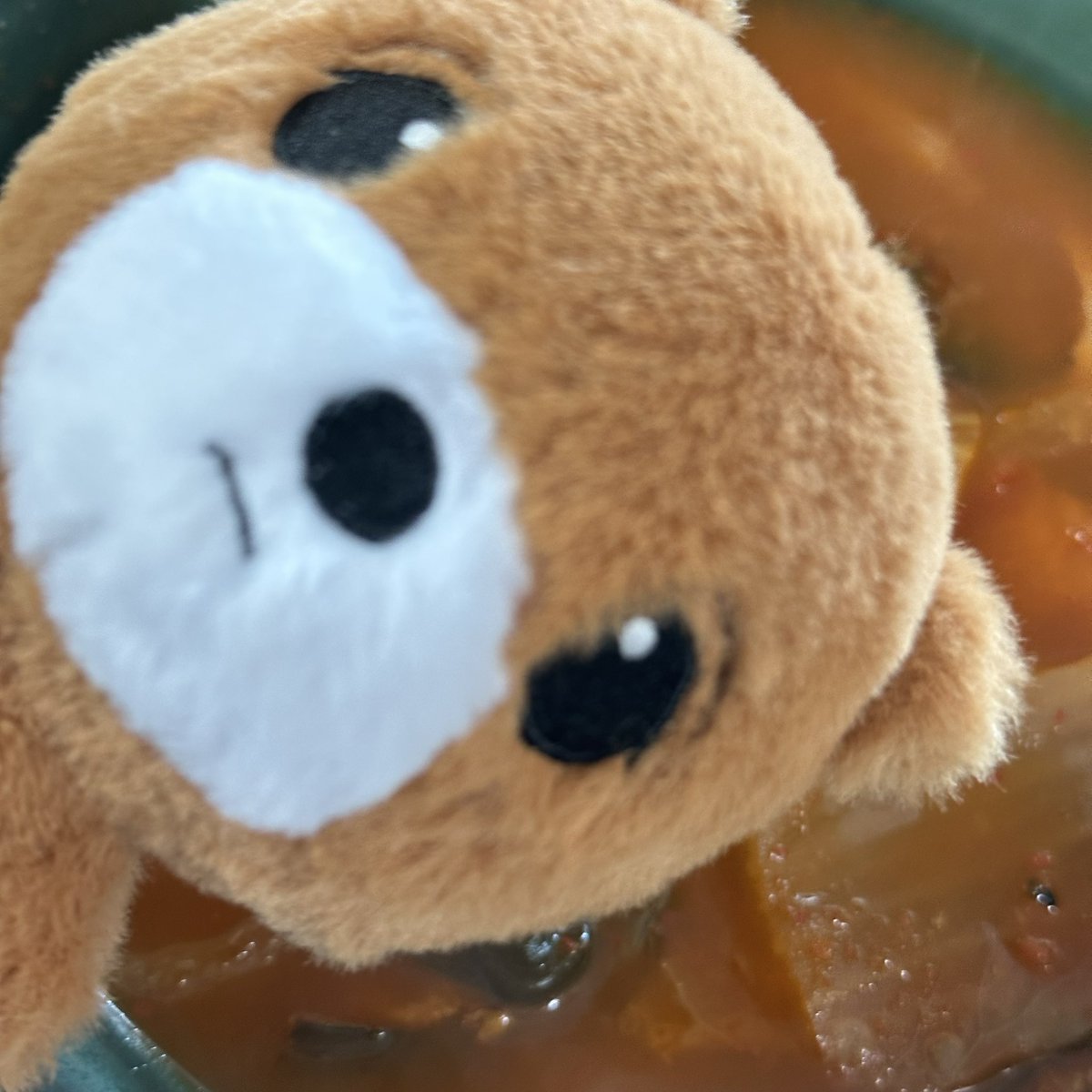 눈나들! 동배 지금 먹구 있는 거 몰까요??
