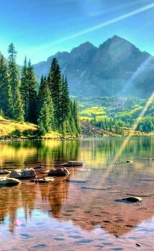 ࿐❥𝖳𝖾𝗋𝖾𝗌𝖺 𝖫 ࿐❥  tweet media