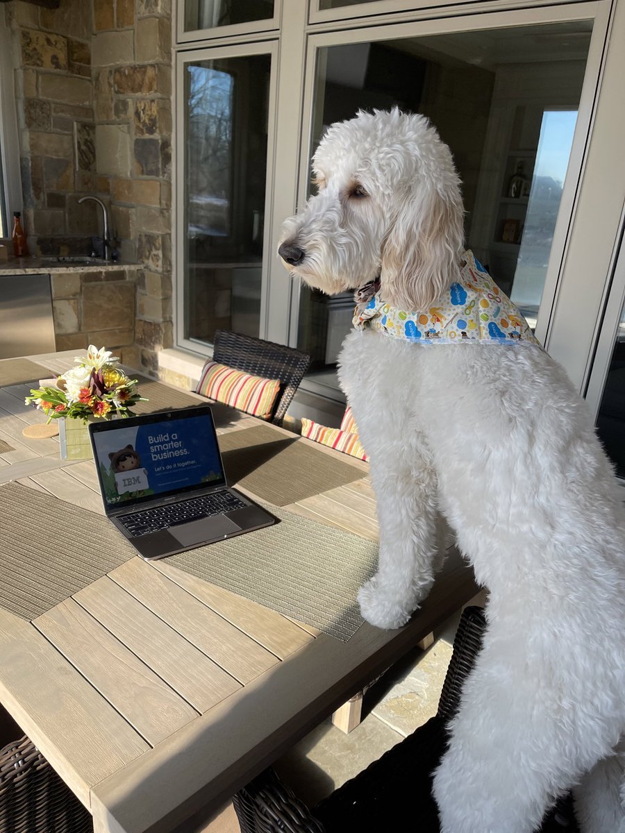 Andrew Russo tweet media