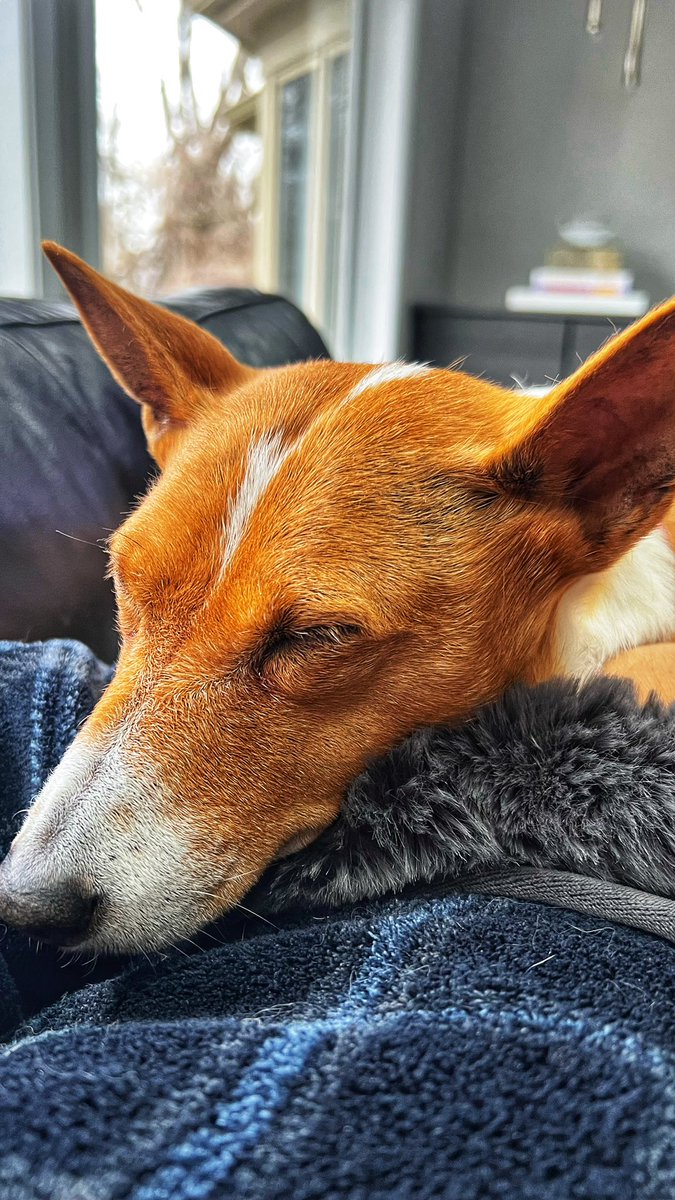 Elmer Martinez tweet media