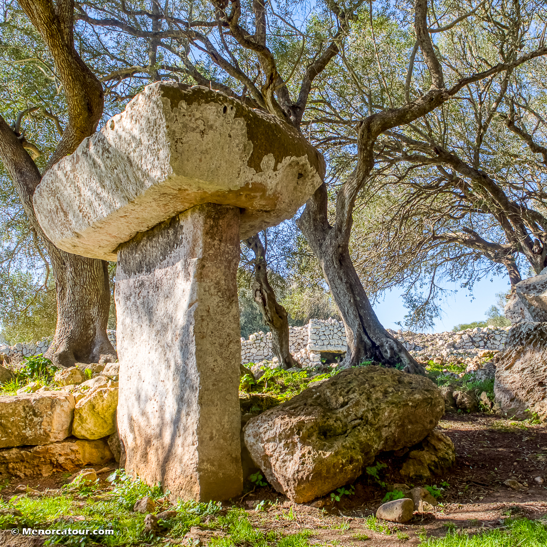 MENORCATOUR's tweet photo. Torrellafuda 🌞🤩🌳📷 https://t.co/7uMLlLK9Vj
Síguenos en @MENORCATOUR o en https://t.co/7b3UKg6YOQ
#menorca #menorca_eyes #menorcaparadise #menorca_nature #talaiot #pobladotalayotico #torrellafuda https://t.co/HOozA1evsf