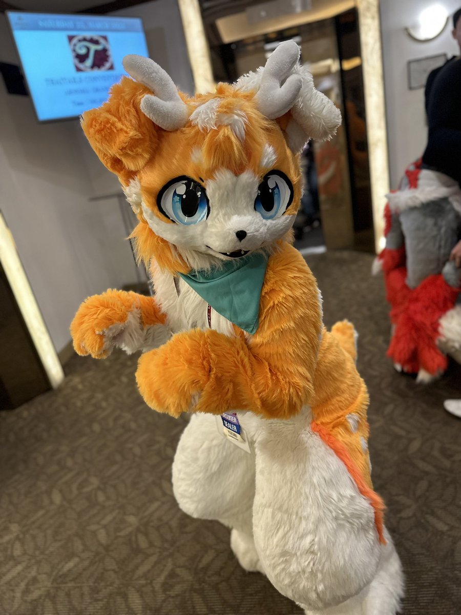 I’m a little deer dog. 🐶🦌
Many ppl can carry me. 🤣

#FursuitEveryday #Furry
#Thaitails2023 #YuzuAki

📸✨: @Otsubu_Fennec