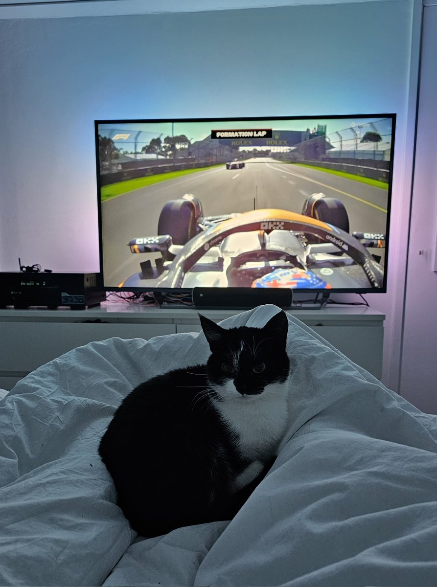 Justin_DigiT's tweet photo. Goedemorgen.. ☕☕

#Chubby kijkt ook mee.

#AustralianGP
#F1 https://t.co/8EWDOuu5cH