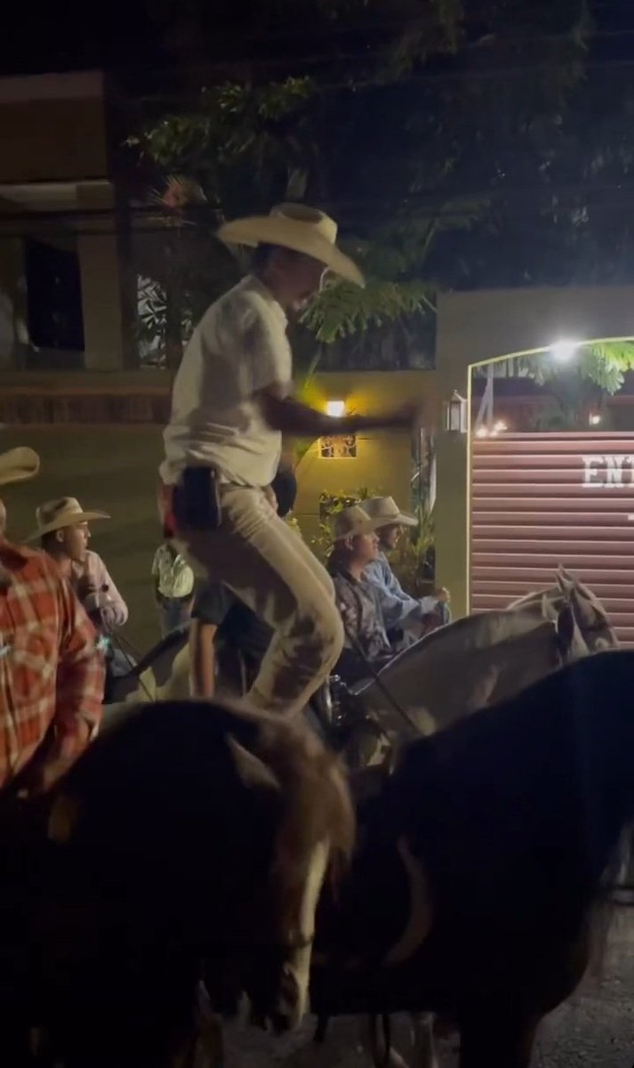 Black_Gatis's tweet photo. A ustedes de verdad les parece bien los topes? O sea ven bien a un mae ebrio de pie encima de un caballo bailando (lastimandolo) tras todo lo que trae por detras ? Es que yo de verdad no lo logro comprender https://t.co/ax4TxAdjC0