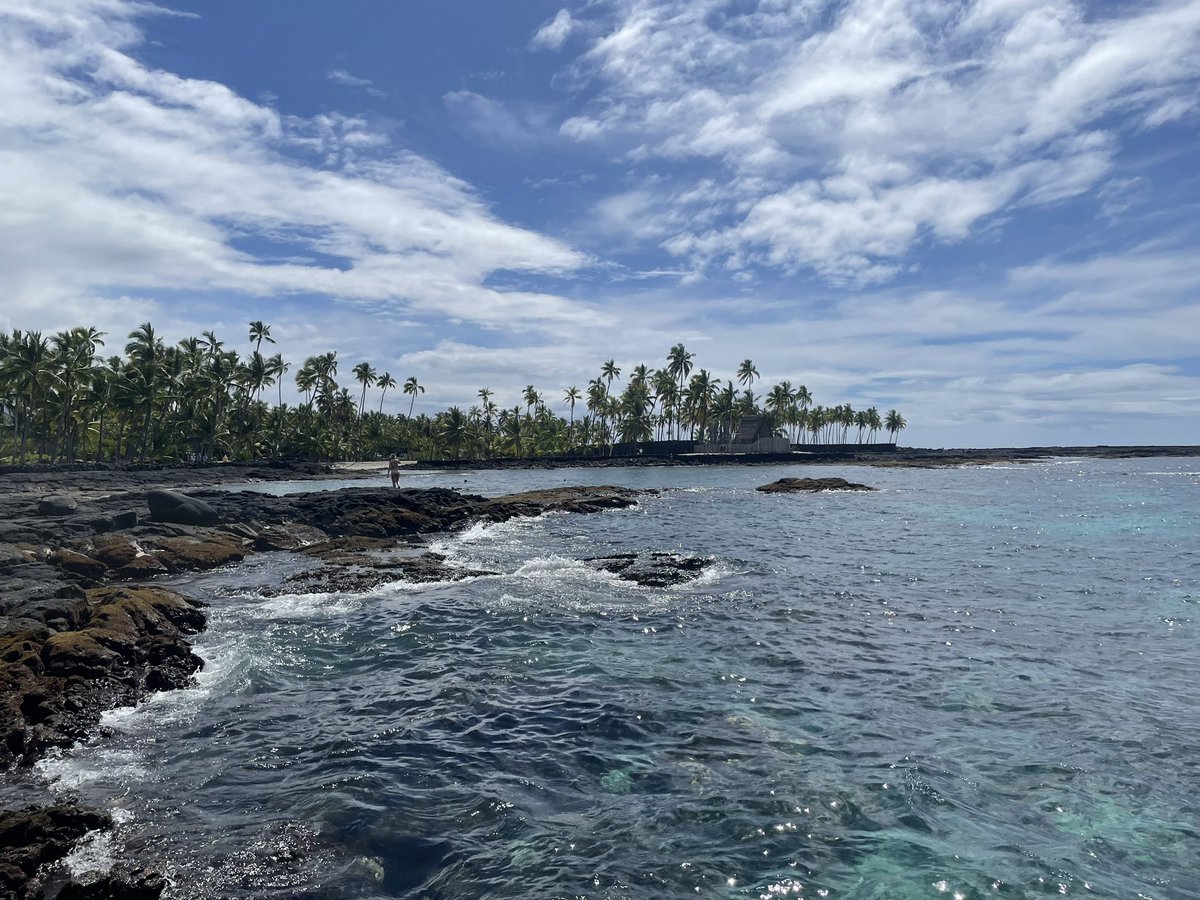 Mark Rauscher (@markrauscher) on Twitter photo 