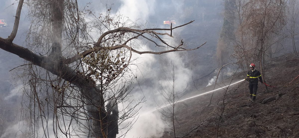 UIISC5CORTE's tweet image. Feu de Morosaglia en début de semaine et feu de Pietranera di Verde.
Les Vulcain ont répondu présent  avec une SIFF et la mise en place d’établissements de grandes longueurs (EGL) pour le traitement de lisières.
@SecCivileFrance 
@armeedeterre 
#SapeurSauveteur 
#ForMisc