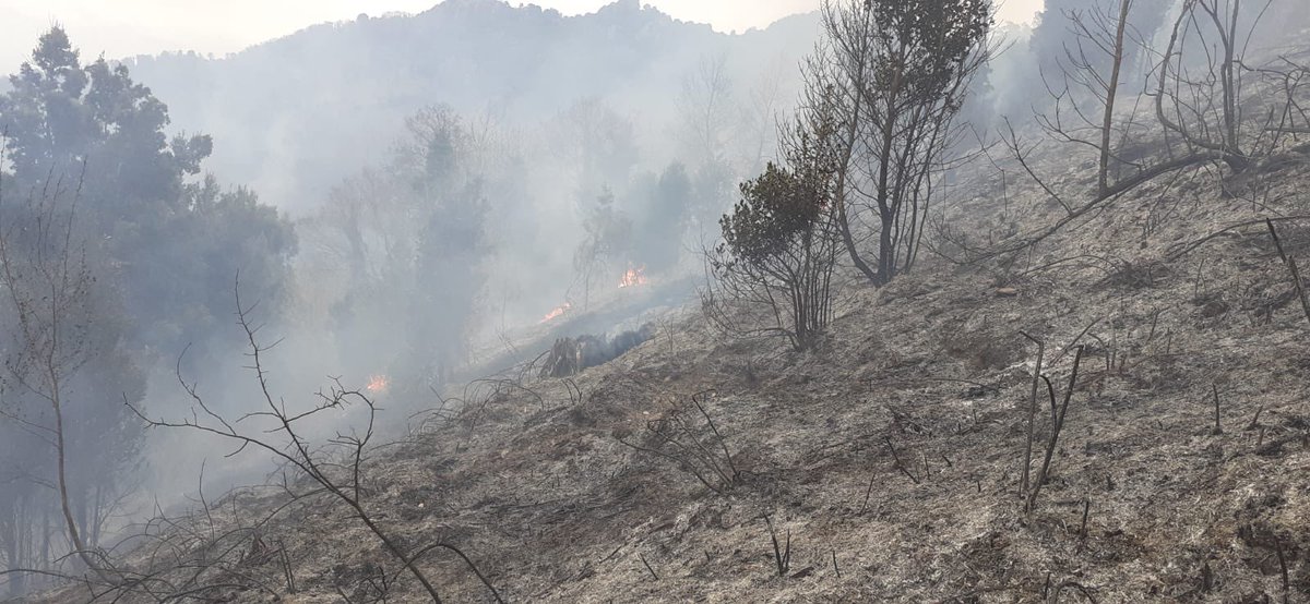 UIISC5CORTE's tweet image. Feu de Morosaglia en début de semaine et feu de Pietranera di Verde.
Les Vulcain ont répondu présent  avec une SIFF et la mise en place d’établissements de grandes longueurs (EGL) pour le traitement de lisières.
@SecCivileFrance 
@armeedeterre 
#SapeurSauveteur 
#ForMisc
