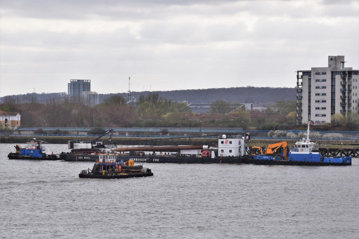 #dlr_blog tweet media