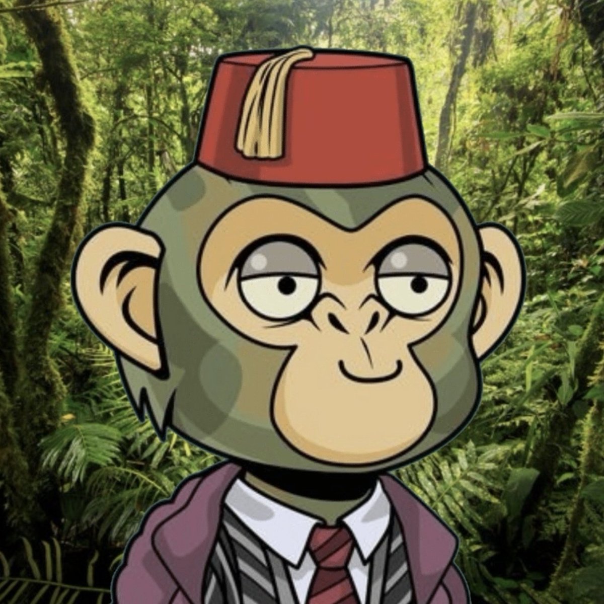 The Chimpos tweet media