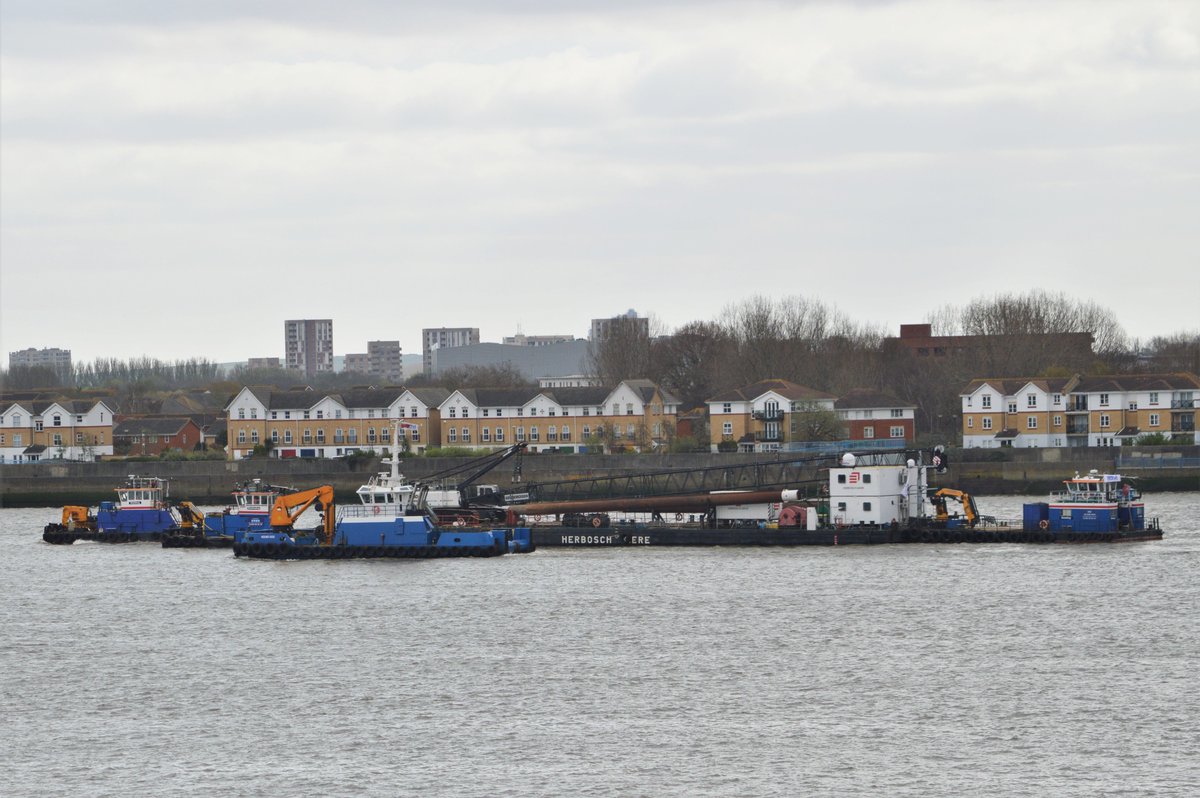 #dlr_blog tweet media