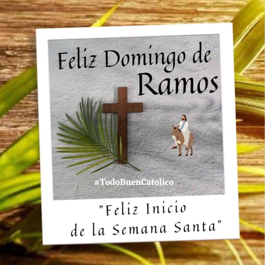ComiteSocias's tweet photo. FAMILIA CREMA “FELIZ DOMINGO DE RAMOS”🙏🙏🌴🌴 https://t.co/qOPvMGr9lI