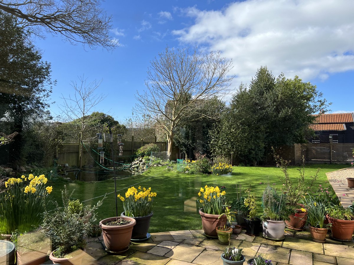 Nigel_Pickover's tweet image. And finally the windows creak open. Lovely #Suffolk #JoyofSpring