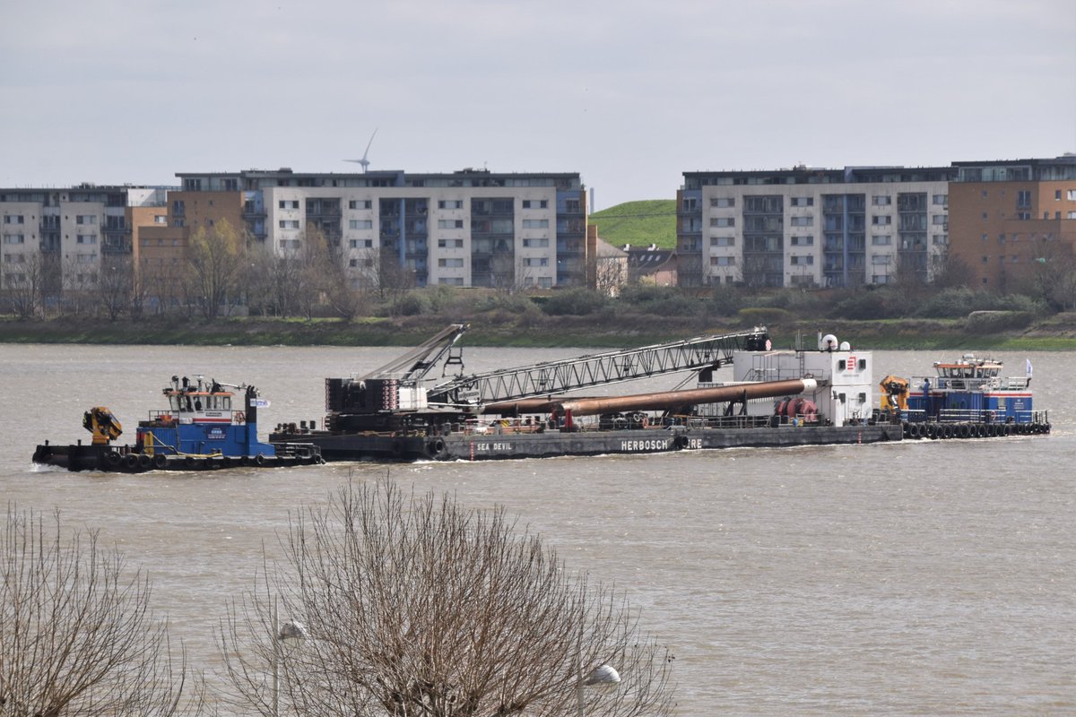 #dlr_blog tweet media