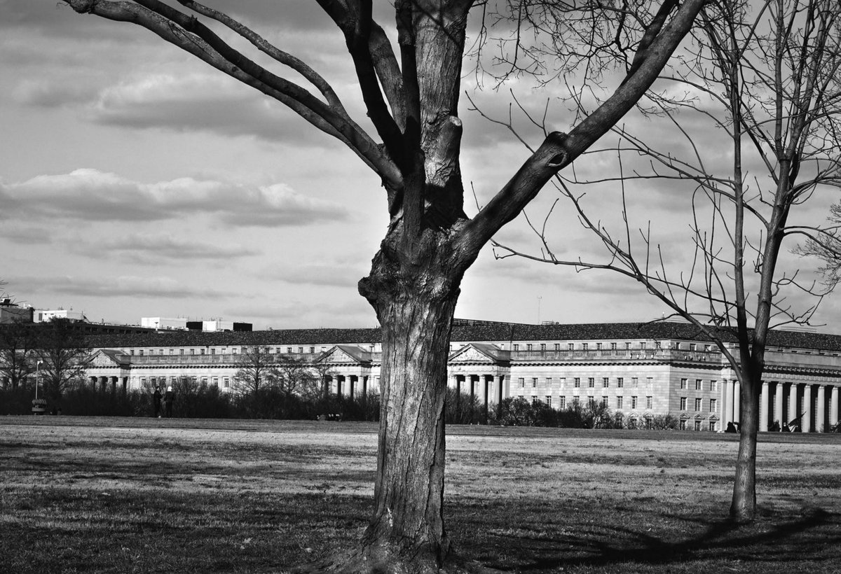 thejourneypwp's tweet photo. GM From DC  

SILENCE ON THE MALL 
Washington, DC  (2018)  
copyright © Peter Welch

 #nftcollectors #NFTartwork #NFTProject #peterwelchphoto #thejourneypwp #photography #blackandwhitephotography #blackandwhite #WashingtonDC #NationalMall #Silence #Peace #UScapital #BareTree #Sky https://t.co/hY1JD5mrf3