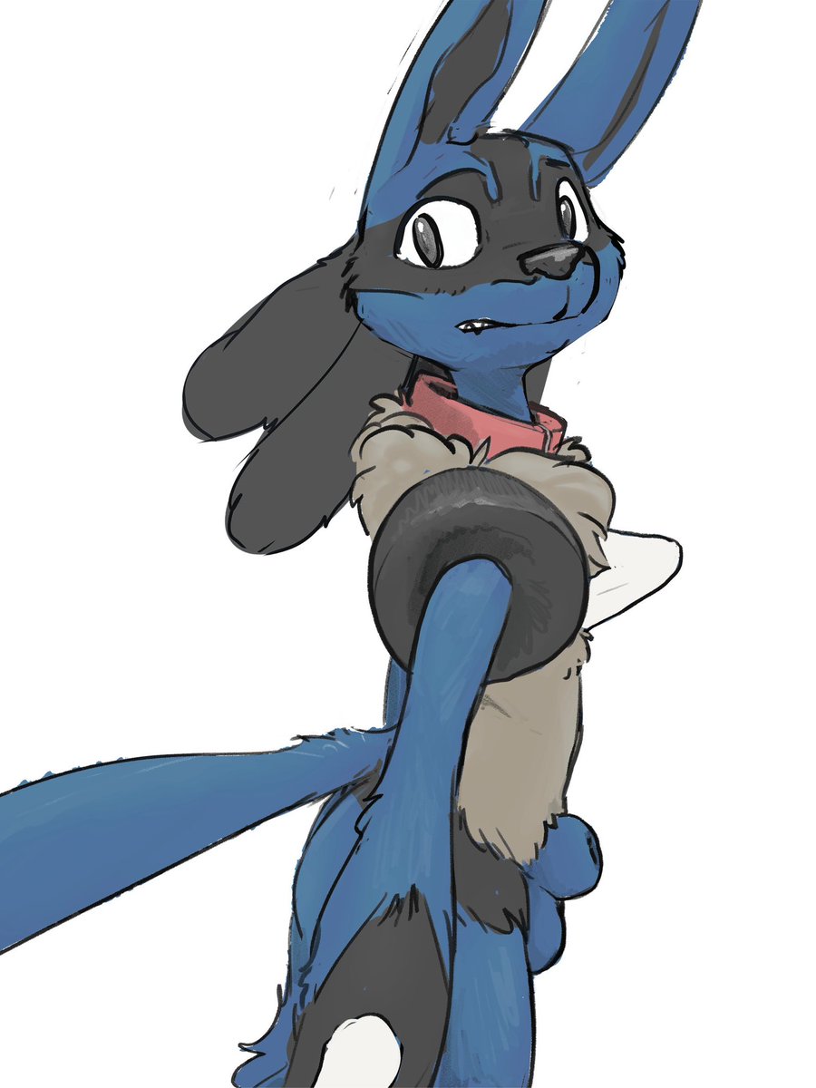 NateTheLuca's tweet photo. “ 𝘏-𝘏𝘦𝘺, 𝘭𝘦𝘢𝘷𝘦 𝘵𝘩𝘦 𝘤𝘰𝘭𝘭𝘢𝘳 𝘢𝘭𝘰𝘯𝘦! ”

==~==~==~==~==~==~==~==~==~==

[•] Nate, the Lucario

     [•] 20 yo

[•] Switch

     [•] Bi, No preference

[•] Detailed/Literate

==~==~==~==~==~==~==~==~==~==

More info below vv https://t.co/1J2YvUkSaH