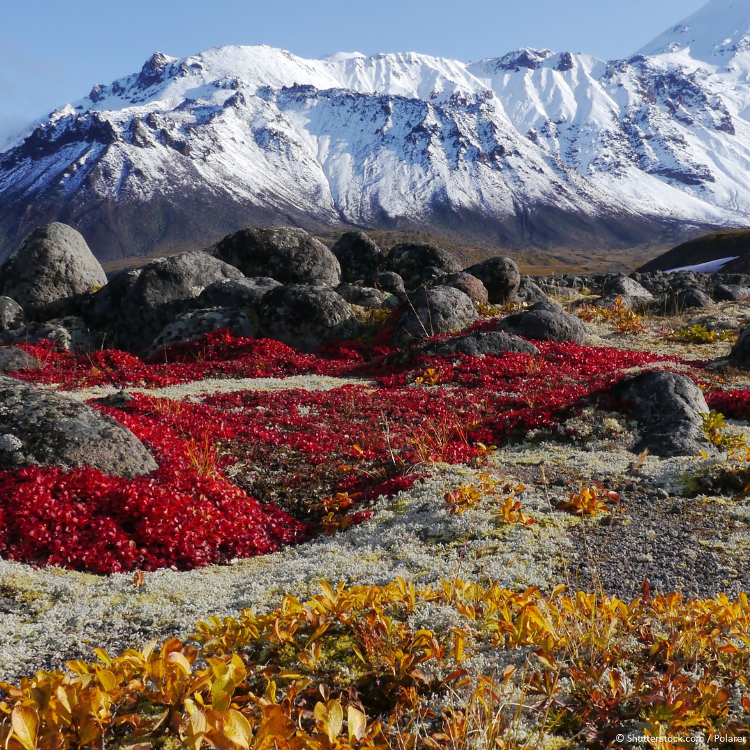 #DYK more than 50 commitments have been made by the corporate sector to protect UNESCO #WorldHeritage 🌍 sites?

Find out what the no-go commitment is ⬇️
on.unesco.org/3ALqD43