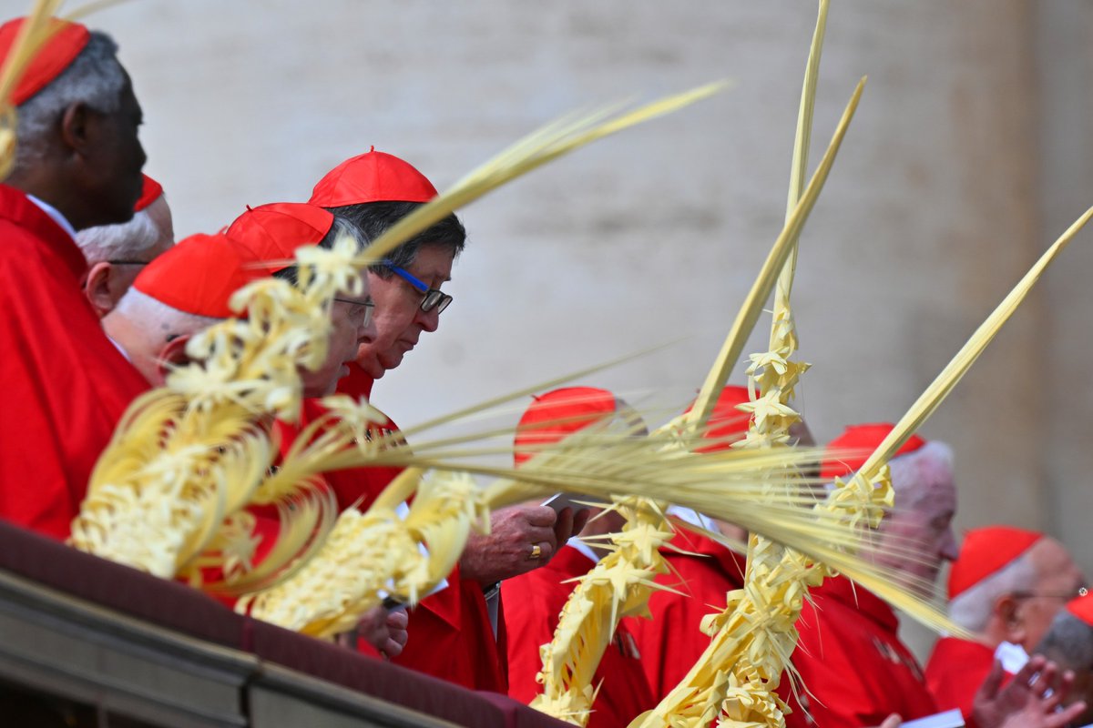 PHOTOS: Cardinals holding woven palm branches attend the celebration of ...