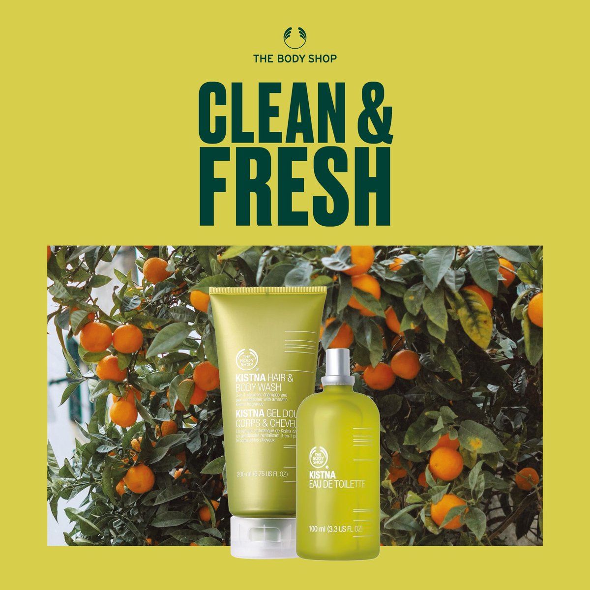 dennispoddog's tweet photo. Kistna, a truly contemporary fragrance, with an energising blend of aromatic notes.
Find your scent and wear it your way.

https://t.co/7iCiI3PKLR

#TBSAH #TheBodyShop #Fragrance #TheBodyShopFragrance https://t.co/CDNdAoNuzT