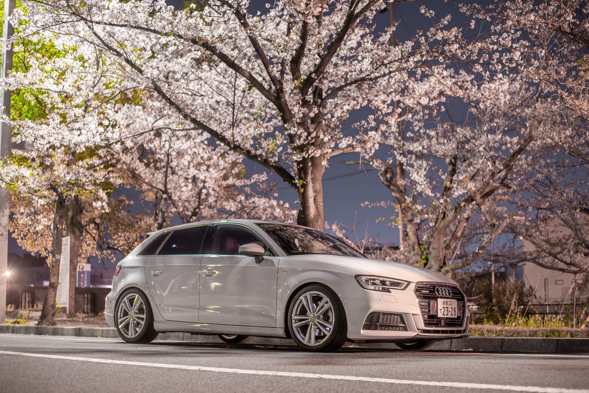 trr6823's tweet photo. A3と夜桜 https://t.co/NCpy0fy8ms