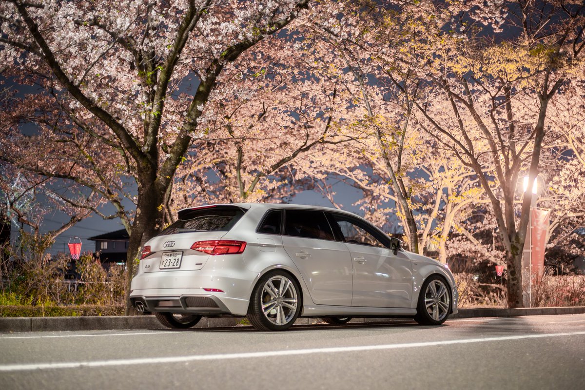 trr6823's tweet photo. A3と夜桜 https://t.co/NCpy0fy8ms