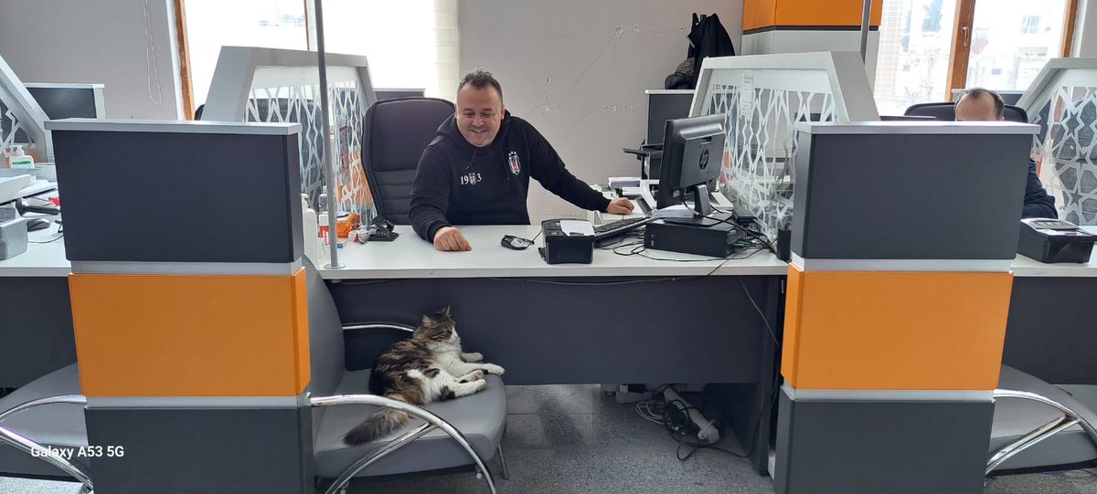 CanakkaleNVM's tweet photo. Bu büyük felakette sadece insanlar zarar görmedi. Sevimli dostlarımızda birer https://t.co/6AyS3DVIZkıyaman’da görev yapan personelimizin pazar misafiri.Onada derman olun. ⁦⁦@TCNufus⁩ ⁦@sefikaygol⁩ ⁦@Ahmetgo96139384⁩ https://t.co/aK284ZZ9Kq