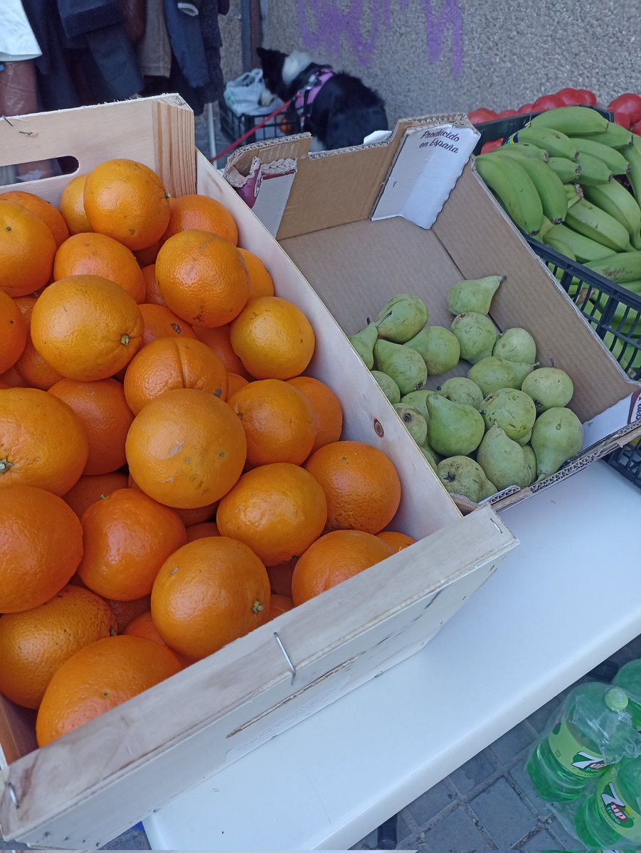 DSLosCarmenes's tweet photo. Mercadillo solidario en la Glorieta de Los Cármenes
Estamos de 12 a 14 horas. 
Hoy domingo 2 de abril..

Vente a echar una mano. https://t.co/FLgkdhlHRb