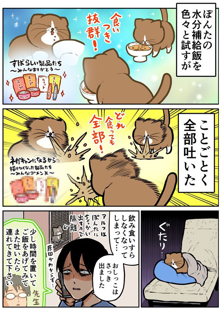 猫が『食あたり』になってしまった… 獣医師の言葉に「こっわ」 https://t.co/GEzOEPr06u @grapeejpより 