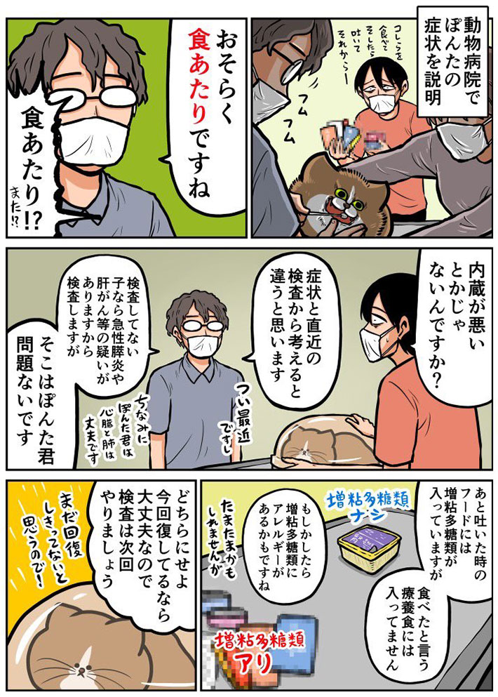 猫が『食あたり』になってしまった… 獣医師の言葉に「こっわ」 https://t.co/GEzOEPr06u @grapeejpより 