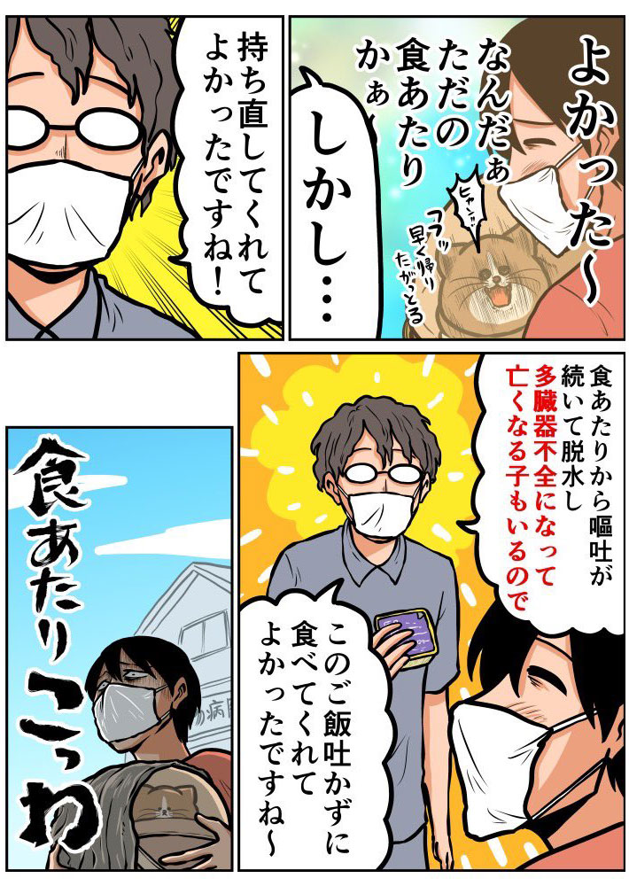 猫が『食あたり』になってしまった… 獣医師の言葉に「こっわ」 https://t.co/GEzOEPr06u @grapeejpより 
