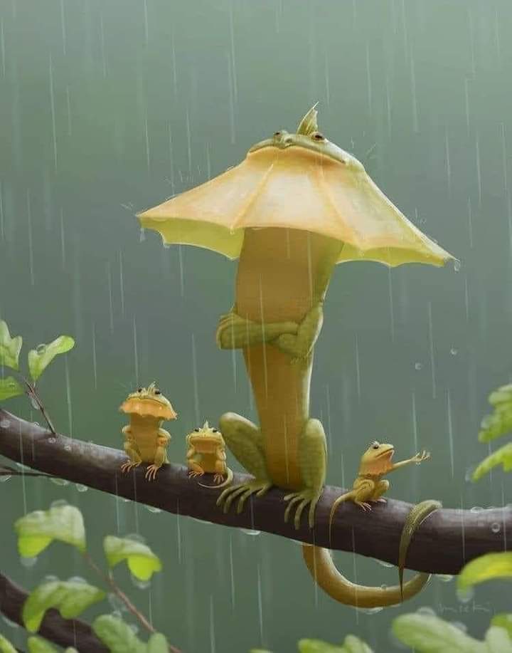 Photo of the day. Amazing Nature

⭕️ Follow @UpliftingVids for more interesting content everyday!