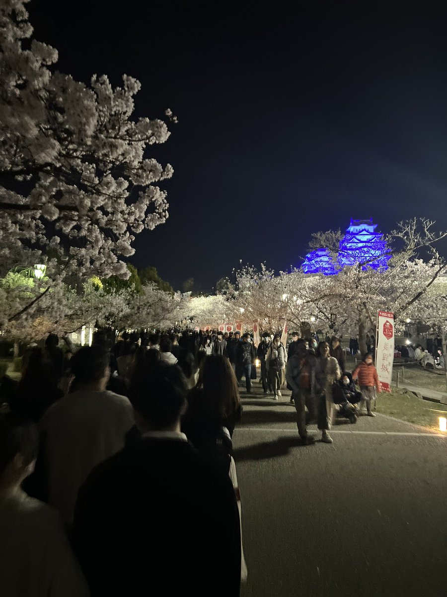 夜桜会の列がヤバい😅
