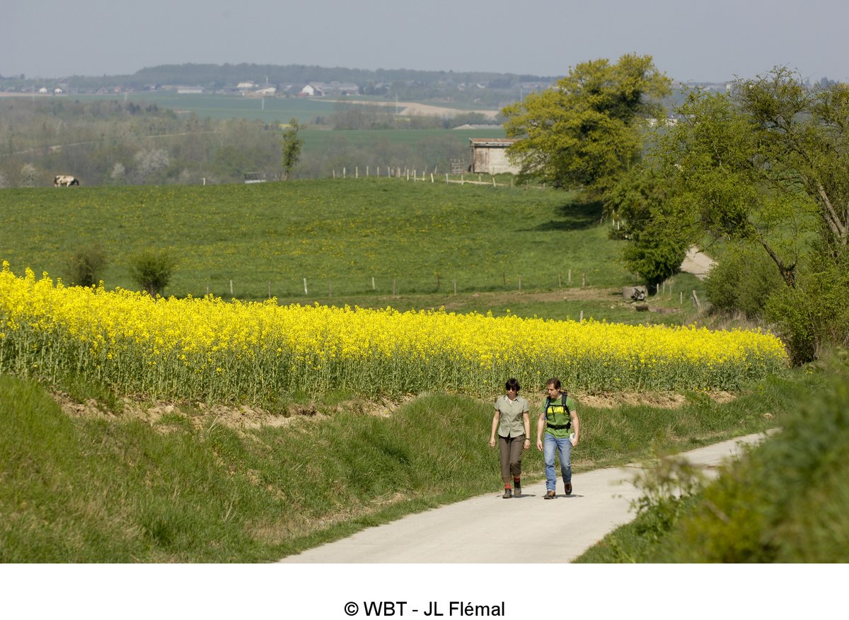 Cartoline dalla Vallonia: la primavera nei dintorni dei nostri villaggi.
visitwallonia.it/it/3/dove-anda…