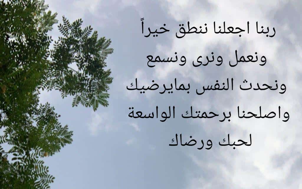 fauoz_iah's tweet photo. ياحي ياقيوم ياذا الجلال والإكرام https://t.co/RsVWFb1sNq