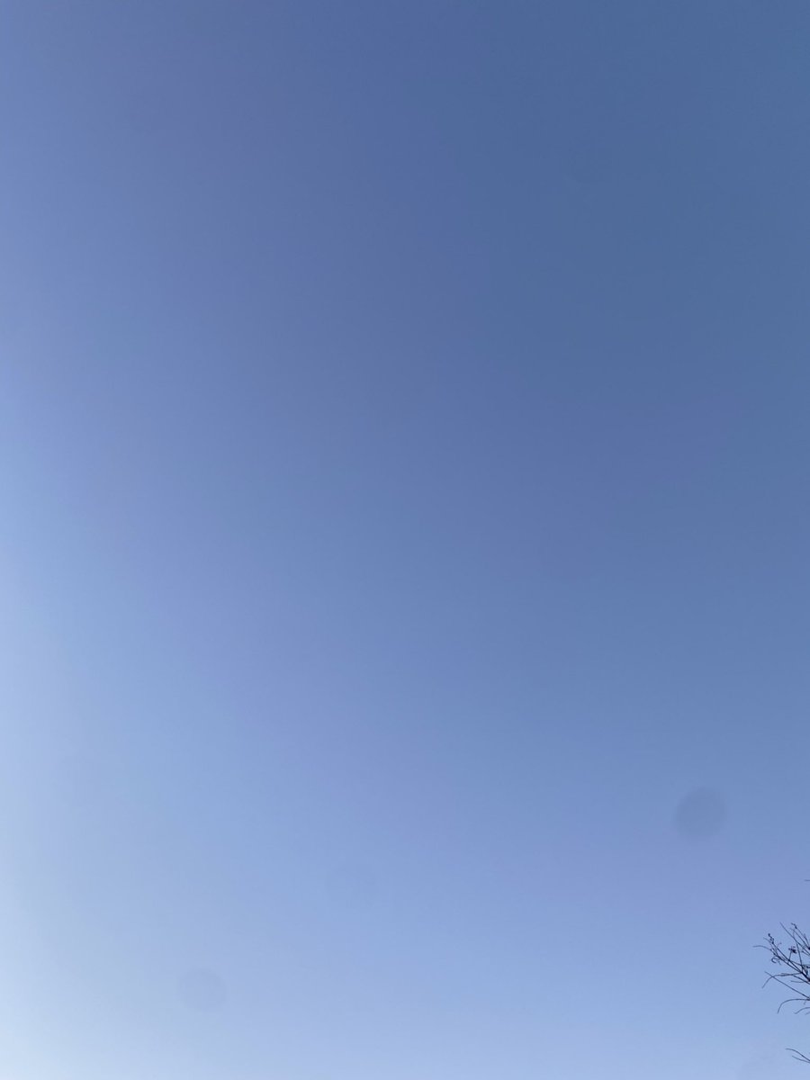 joseluque_lupue tweet media