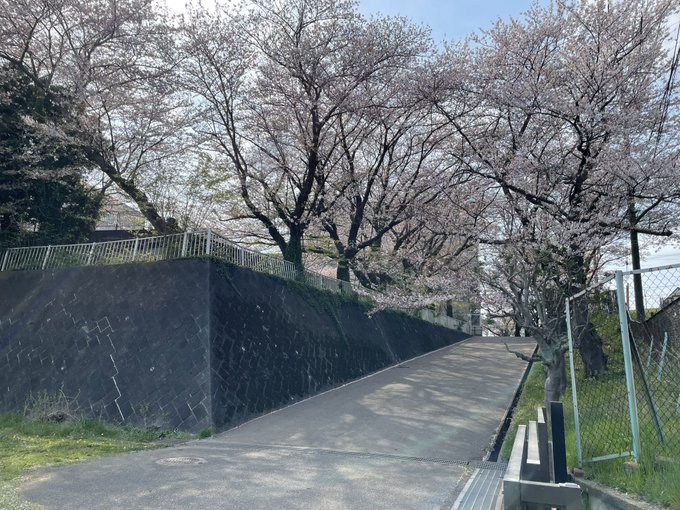 きんモザ聖地巡礼みんなが通う高校のモデルとなった学校(*'▽'*)こちらも桜🌸がキレイでした(*´꒳`*) 