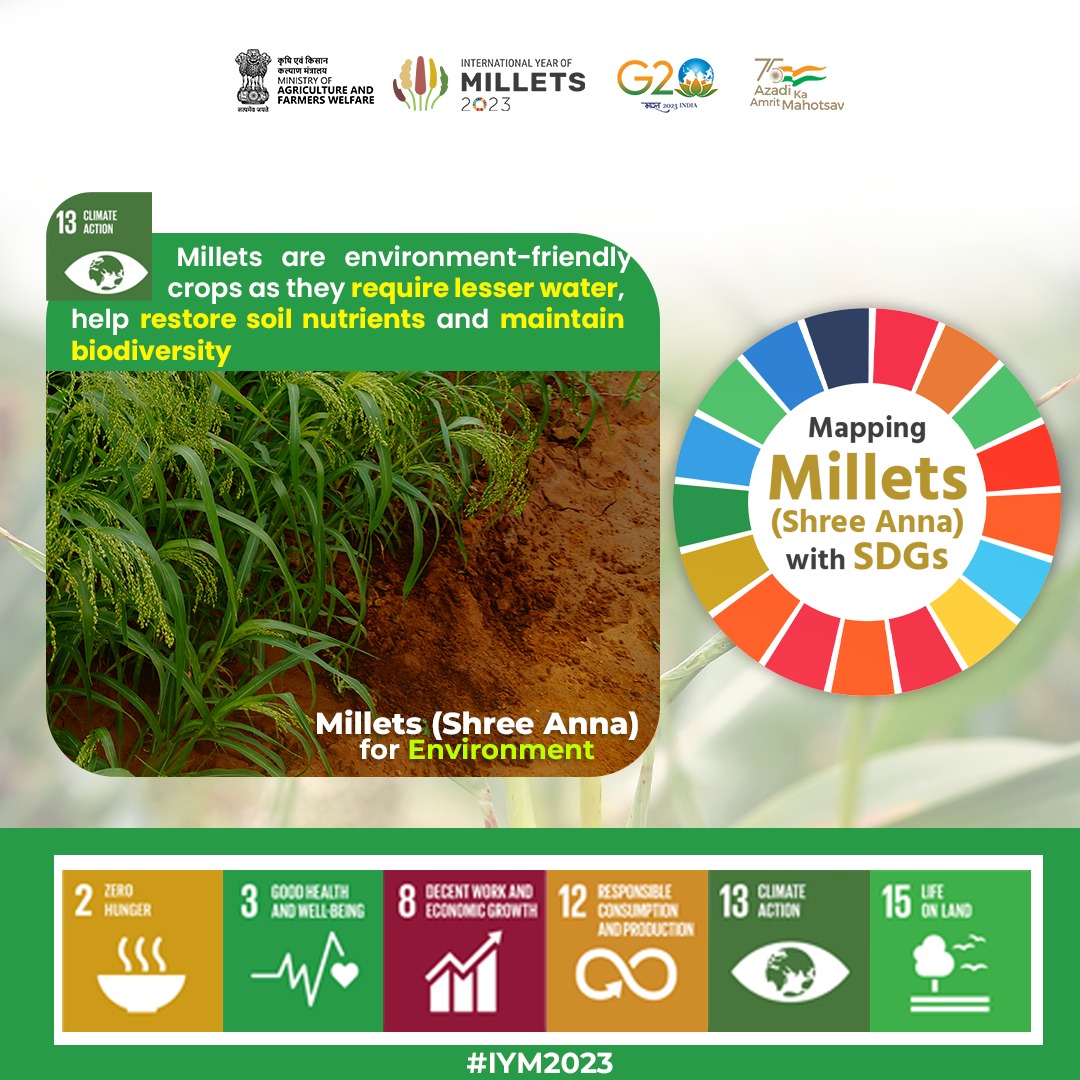 Millets Climate India in Chile on Twitter: